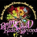 Bollywood Radio and Beyond